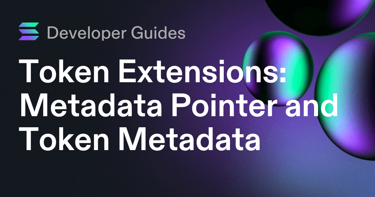 How to use the Metadata Pointer extension